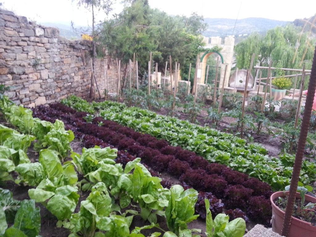 Las Bodegas De Claveria El Humo de Muro Eksteriør bilde